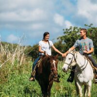 Sweetheart Ride Sweetheart Horseback experience | Date with Horse | Waikiki Adventures