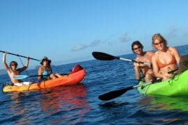 Maui West Side Eco Tours