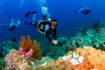 Discover Scuba Diving Tour Maui Discover Scuba Diving Tour Maui