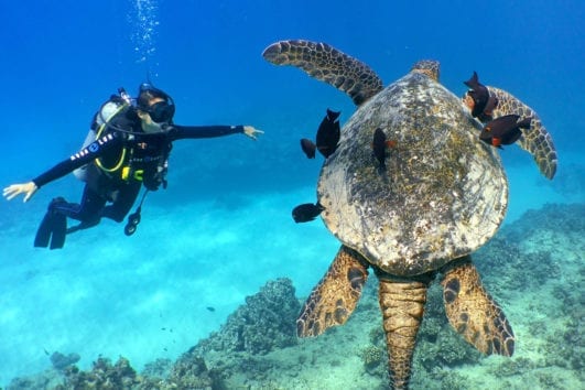 Hawaii Diving Adventures