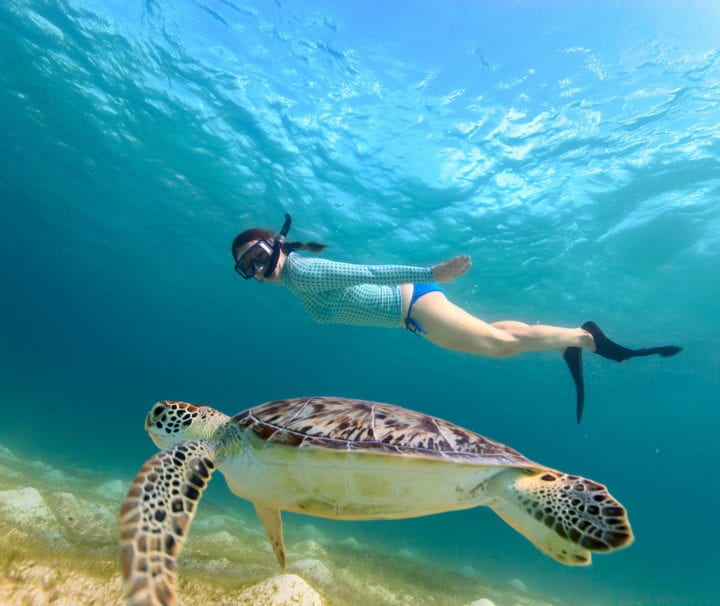 Snorkel and Sail North Shore