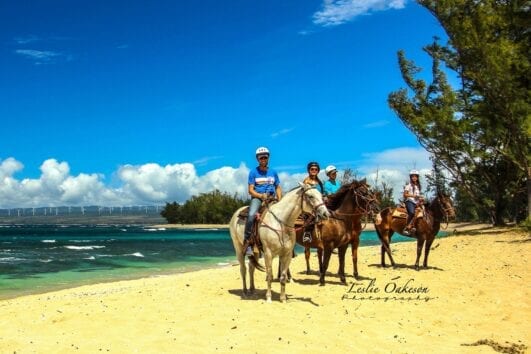 Hawaii Polo Trail Rides