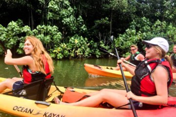 Rainforest Self-Guided Kayak Tour