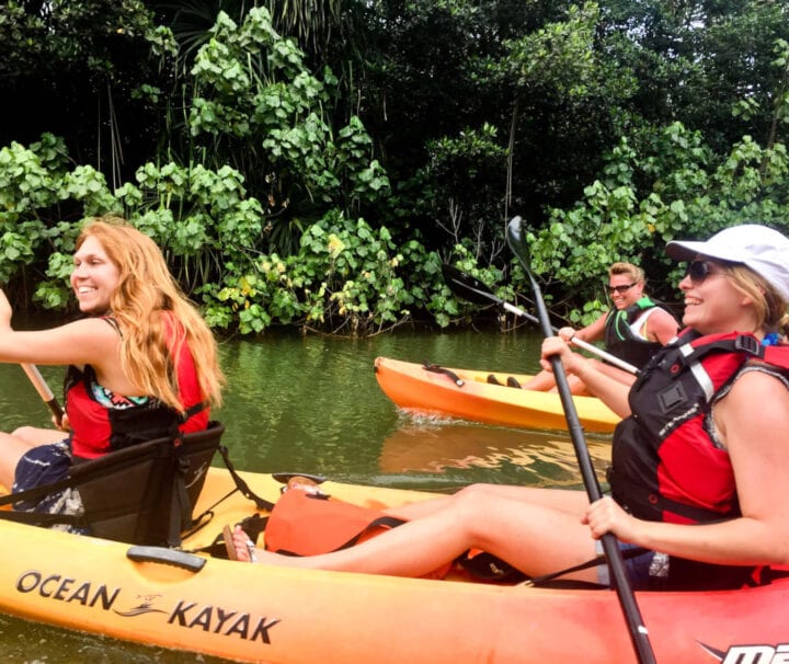 Rainforest Self-Guided Kayak Tour