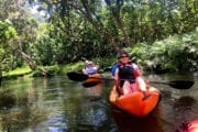 Oahu-Kayak-Tours_9