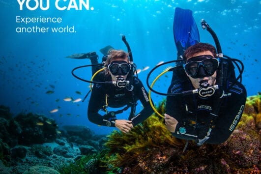 PADI Open Water Diver