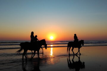 horseriding-on-the-beach horseriding-on-the-beach
