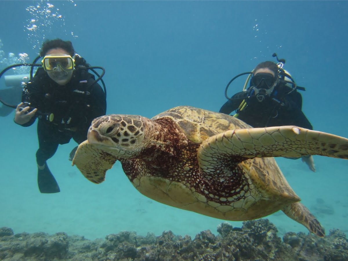 Scuba-Diving-Kailua-Kona