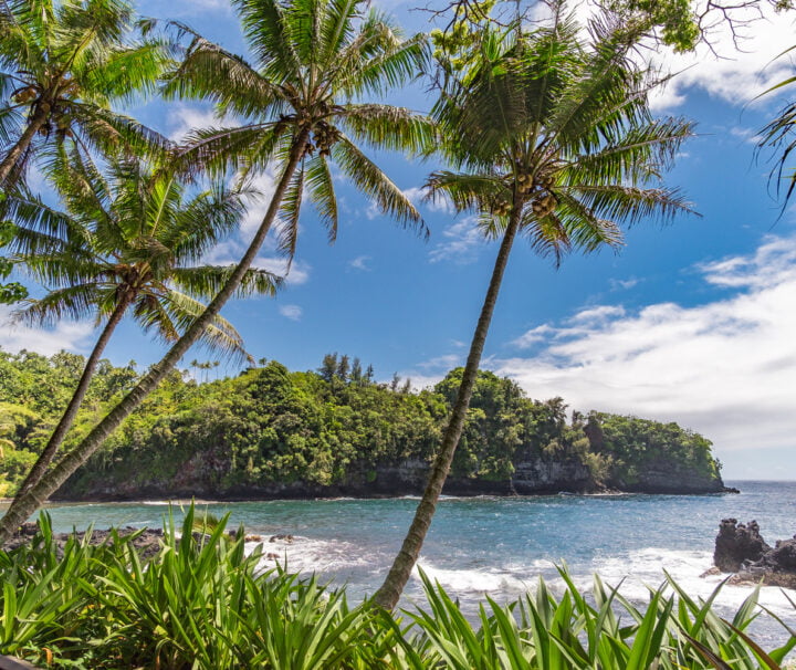 Hilo Bay Myths and Legends Raft Adventure