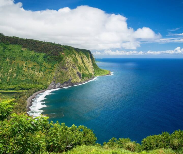 Hāmākua Historical Hawai’i Afternoon Cruise