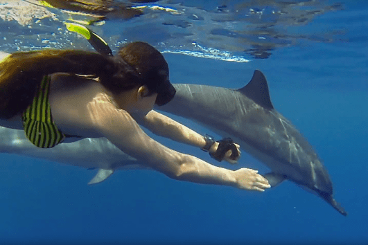 Kauai South Island Boat Snorkel Tour