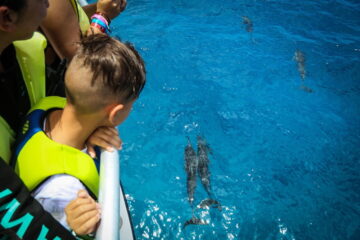 Swim with Dolphins Boat Swim with Dolphins Boat