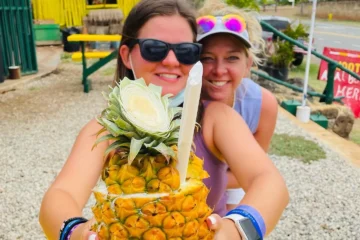 Oahu Island Tour From WaikikiOahu Island Tour · from $178Admission to all attractions