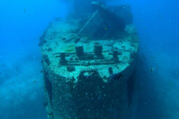 IMG_20200411_144630_768