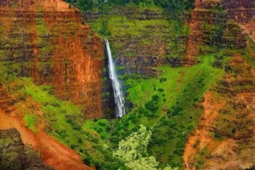 Waimea Canyon, Wailua River & Fern Grotto Tour Kauai (Free Hotel Pickup)Waimea Canyon Tour · from $228Grand Valleys & Lush Jungles
