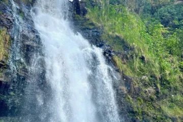 Kulaniapia Falls Daypass HiloKulaniapia Falls Daypass · from $49Explore 40+ acres of natural beauty