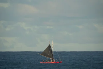 Haleiwa, Oahu2 Hour Outrigger Canoe · from $200North Shore Waves & Hawaiian Culture