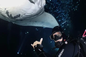 2 Tank Night Manta Dive Charter Kailua-Kona, Big Island2-Tank Night Manta Dive · from $219Two-Tank Scuba & Manta Rays