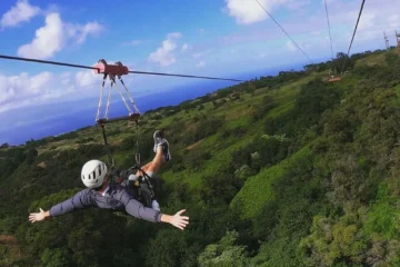 4 Line Tour Lahaina, Maui4 Line Tour · from $1984 Ziplines & Giant Suspension Bridge