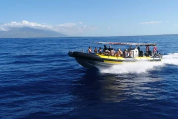 5-Hour Molokini & Turtle Tour Kihei, Maui5-Hour Molokini & Turtle Tour · from $189Sunrise Molokini & Turtle Town Snorkeling