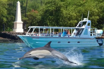Capt. Cook /Kealakekua Bay Marine Adventure Kailua-Kona, Big IslandCapt. Cook & Kealakekua Bay · from $125Snorkeling, Sea Caves & Marine Life