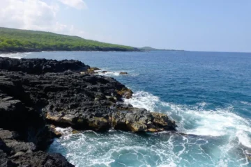 Kailua-Kona, Big IslandCaptain Cook Exclusive · from $115Kealakekua Bay & Sea Caves