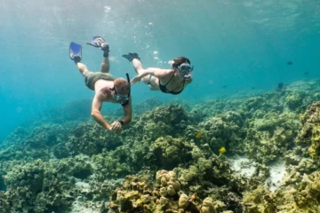 Captain Cook Monument Kealakekua Bay Snorkeling Tour Kailua-Kona, Big IslandCaptain Cook Monument Kealakekua Bay Snorkeling Tour · from $129Clear Waters & Vibrant Coral Reefs