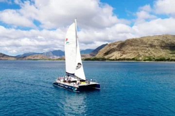 Catamaran Snorkel Sail - Sunrise OahuCatamaran Snorkel Sail - Sunrise · from $195Turtles, Tropical Fish & Cocktails