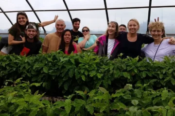 Kalaheo, KauaiCoffee on the Brain Tour · from $35Coffee Brewing & Orchard Tour
