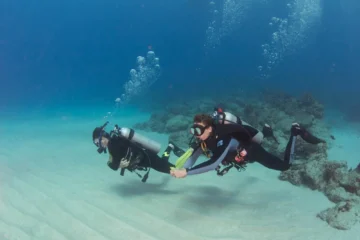 Dive Packages Poipu, KauaiDive Packages · from $503.67Up to 10 Dives & Save Up to 18%