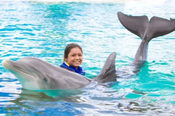 Dolphin Exploration Waimanalo, OahuDolphin Exploration · from $299.99Deep-Water Dolphin Interaction & Enrichment