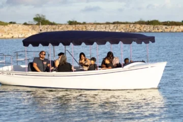 Ewa Beach, OahuDuffy Boat Cruises · from $75Quiet, Eco-Friendly Lagoon Cruise