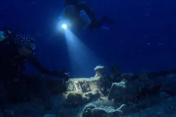 Waikiki, OahuDusk & Night Dive · from $155Certified Diver 2 Tank