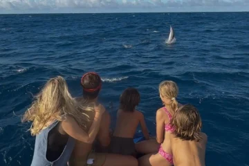 Eco-Raft- Dolphin or Whale Search & Sightsee Tour Lahaina, MauiEco-Raft: Dolphin & Whale Search · from $84Dolphins, Whales & Marine Life