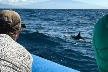 Eco-Raft- Lanai Snorkel & Dolphin Watch (Semi-Private) Lahaina, MauiLanai Snorkel & Dolphin Watch · from $189Small-Group Snorkeling & Dolphin Watching