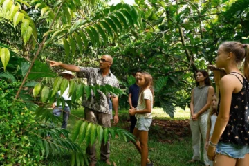 Kilauea, KauaiFarm and Food Experience · from $145Farm Tour & Island-Sourced Dinner