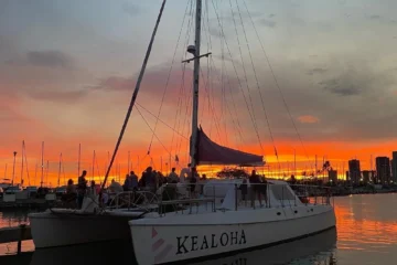 Waikiki, OahuFriday Night Fireworks · from $79Kealoha Fireworks Cruise