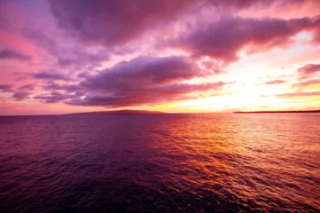 Kihei, MauiGolden Hour Kayak Experience · from $119Turtle Town, Sunset & Humpback Whales