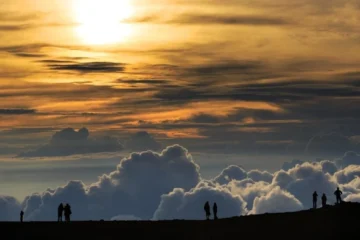 Haleakala Sunset Tour - A Spectacular Show (M5) MauiHaleakala Sunset Tour · from $231Haleakala Sunset & Upcountry Views
