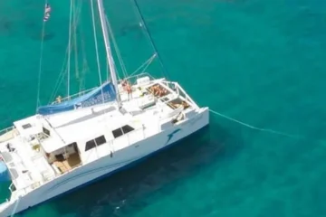 Honolua Snorkel & Dolphin Sail • Lahaina Wailuku, MauiHonolua Snorkel & Dolphin Sail · from $199.95Luxury Catamaran, Turtles & Dolphin Sightings