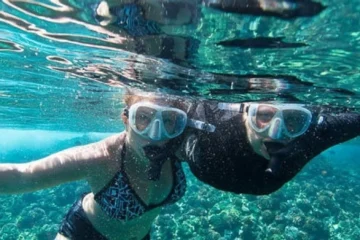 Honolua Snorkel & Dolphin Sail • Lahaina Wailuku, MauiHonolua Snorkel & Dolphin Sail • Lahaina · from $199.95Two Snorkel Spots, Turtles & BBQ Lunch