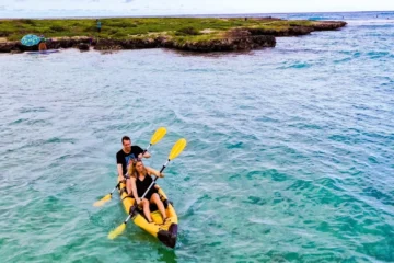 Kailua Bay & Popoia Island Self-Guided Kayaking Kailua, OahuKailua Bay & Popoia Island Kayaking 路 from $82Kailua Bay, Popoia Island & Sea Turtles