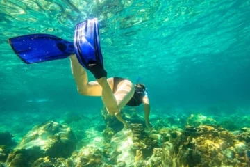 Koloa, KauaiSouth Side Zodiac Snorkel · from $135.50Dolphins, Turtles & Reef Fish