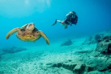 Kauai's Ultimate Shore Dive - SOUTH ISLAND Poipu, KauaiKauai's Ultimate Shore Dive · from $169Certified Divers Only