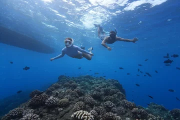 Kaula Kai Snorkel Sail at Ko Olina OahuKaula Kai Snorkel Sail · from $149.95Ko Olina Snorkel Sail & Open Bar