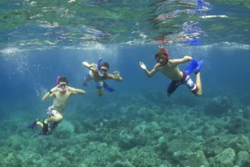 Kealakekua/Captain Cook Adventure Kailua-Kona, Big IslandKealakekua/Captain Cook Adventure · from $265Amazing Eco-Friendly Reef Snorkeling