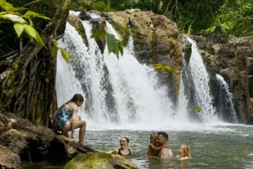 Lihue, KauaiKipu Falls and Treehouse Hike · from $110Guided Hike to Kīpū Falls
