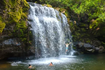 Kailua-Kona, Big IslandKohala Waterfalls Adventure · from $255Waterfalls, Valleys & Sea Cliffs