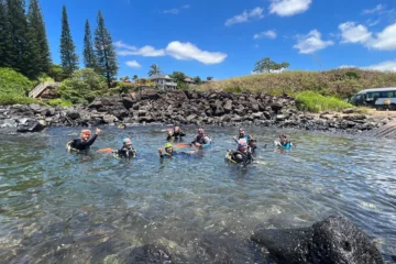 Koloa, Kauai2-Tank Shore Dive · from $170Koloa Landing & Two Dives
