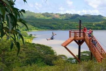 Koloa, KauaiKoloa Zipline Tour · from $162Ride Kauai's Longest Ziplines!